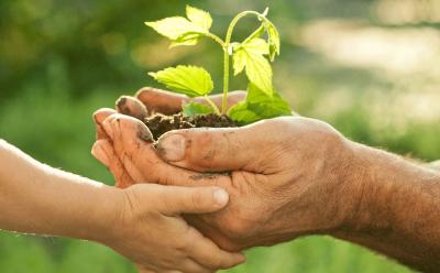 Titulní obrázek článku